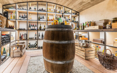 Trouvez la meilleure cave à vin pour votre maison !